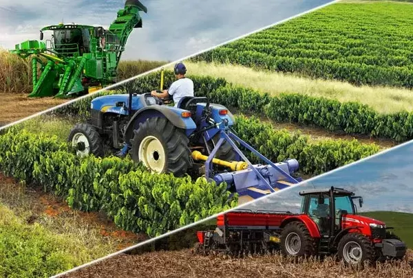 Agrícola e Florestal